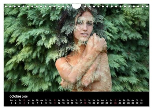 Beautés hongroises (Calendrier mural 2026 DIN A4 vertical), CALVENDO calendrier mensuel: Calendrier érotique de modèles hongroises