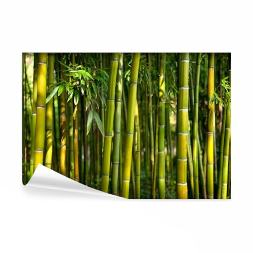 decomonkey - Papier Peint Panoramique Adhésif Bambou Nature 392x280 cm - Stickers Muraux Chambre Déco XXL Autocollant - Vert gris jaune - Asie bambous feng shui feuilles orienter plantes fond zen