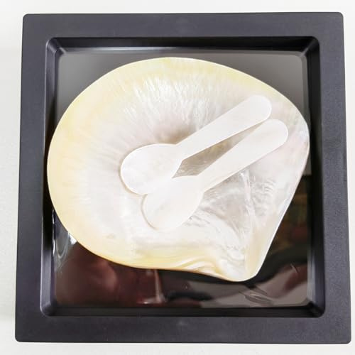 Kaviar Servierset - Kaviarlöffel - Perlmutt-Löffel-Set mit Geschenkbox Verpackung - Servieren von Kaviar Eiern und Dessert