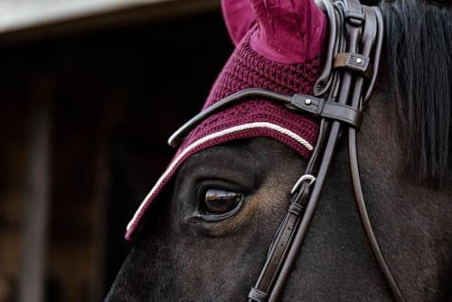 Kentucky - Fliegenhaube Wellington Velvet Bordeaux cob
