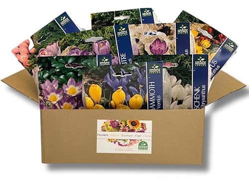 Nojus – 8 varietà di crochi – Bulbi da fiore perenni e resistenti al freddo – 69 bulbi di croco colorati – Bulbi a fioritura precoce – Mix di bulbi da fiore