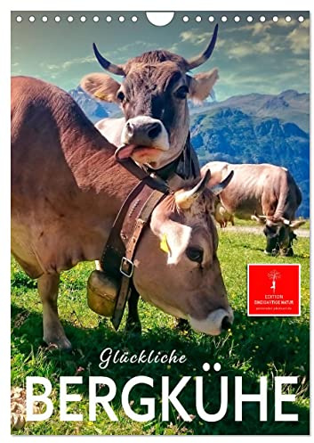 Glückliche Bergkühe (Wandkalender 2026 DIN A4 hoch), CALVENDO Monatskalender: Beeindruckende Bilder der eindrucksvollen Rinder vor dem Hintergrund wunderschöner Berglandschaften. (CALVENDO Tiere)