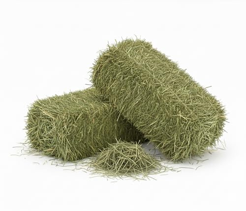 Erba Medica (Alfa Alfa) 10 kg | Fieno Naturale Erba Medica | Ricco di Fibre, Proteine e Calcio | Ideale Cavalli, Leporoidi, Ovini, Caprini, Conigli, Criceti, Piccoli Roditori | Miglior Qualità