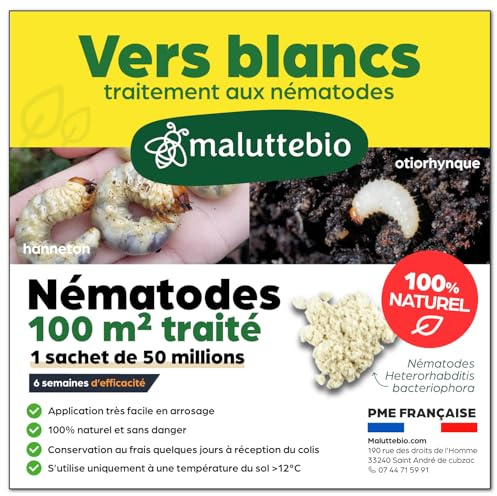 Nématodes HB contre les Vers Blancs (50M) – Produit naturel et 100% efficace pour éliminer les vers blancs et les hannetons du jardin, pelouses et plantes – Sans produit chimique et sans danger