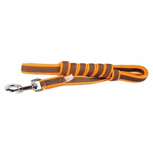 IDC Color & Gray gumierte Leine, 20 mm x 3 m mit Schlaufe, Orange-Grau