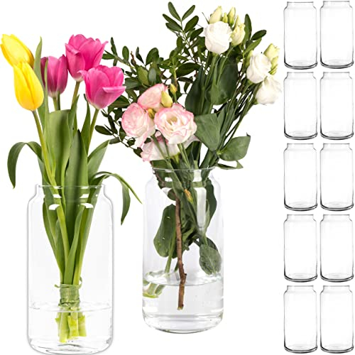 Giessle® 12 Stück 20cm Glasvasen mit schmalem Hals - für Schleifen & Bänder - Vasen Set Tischvasen Blumenvase, aus Glas