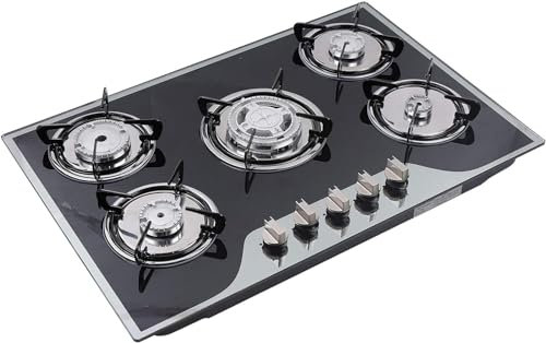 Cuisinière à gaz, 5 feux avec plaque de cuisson à gaz en fonte et bol d'eau en acier inoxydable, cuisinière de qualité supérieure