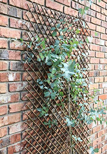 1.8m x 1.2m Large Expanding Garden Willow Trellis Plant Support