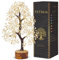 Yatskia Citrine Crystal Money Tree, Feng Shui Crystal Decor, Gemstone Tree Gifts For Women, Home Decor, Birthday Gifts For Mum