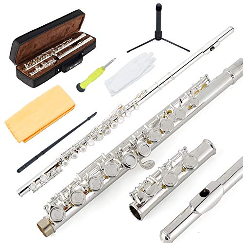 EastRock Querflöte Offenes Loch 16 Loch C Querflöte versilberteFlöte mit Gehäuse und Zubehör Geeignet für Anfänger und Studenten (Silber)