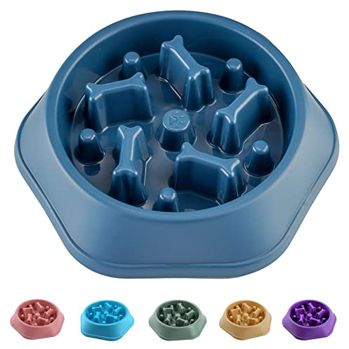 CAISHOW Slow Feeder Dog Bowl Slow Food Feeding Pet Bowl Slow Eating Healthy Design for Small Medium Size Dogs