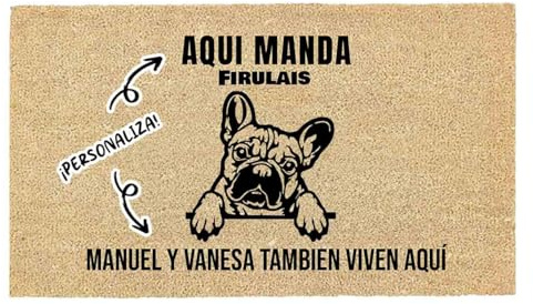 LUCA HOME - Felpudo Entrada casa Personalizados - Felpudo Bulldog - Original y Divertido - Decoración hogar - Regalos Originales - Alfombra 40x70cm
