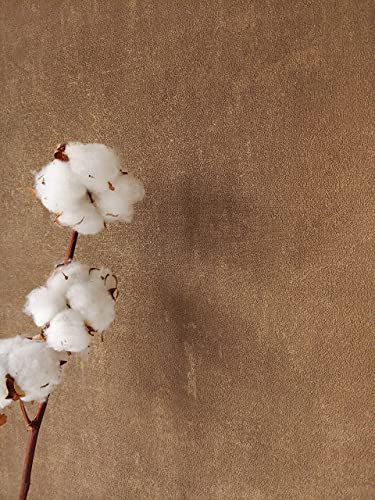 Newroom Tapete Braun Vliestapete Einfarbig - Unitapete Uni Ocker Beton-Optik Struktur Modern Industrial Betontapete inkl. Tapezier-Ratgeber