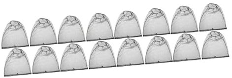 HEMOTON 4 Ensembles Chapeaux De Protection Moustiques pour Activités Extérieures pour Apiculture Respirante 4 Pièces * 4