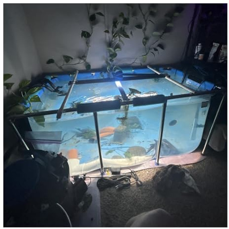 Estanque Para Acuario - Revestimiento De Lona De PVC Con Estructura De Acero Estanque Prefabricado Para Koi Sobre El Suelo Con Ventana Transparente Tanque De Cría De Gran Capacidad(140x140x35cm)