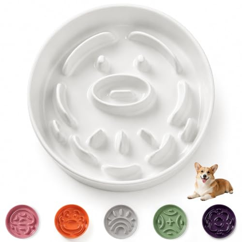 Ciotola Anti Ingozzamento Cani in Ceramica - Scodella Labirinto per Alimentazione Lenta - Ciotola Anti Vomito per Cani Medi e Grandi - 20,3 cm - 180 g - Bianco