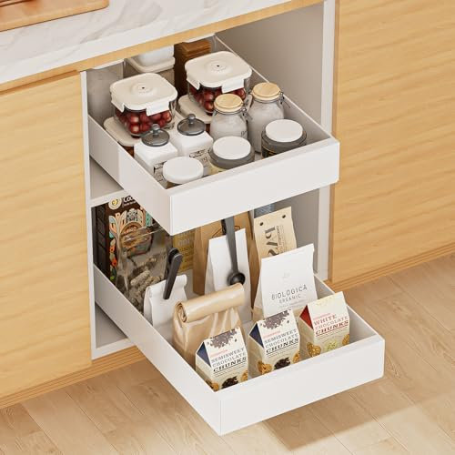 Carastek 2 Pezzi Cassetto Telescopico Cassetto Estraibile Cucina Ripiani per Cassetti Estraibili per Armadio da Cucina Senza Bisogno di Trapano e Chiodi (25CM L x 43CM P x 7CM)