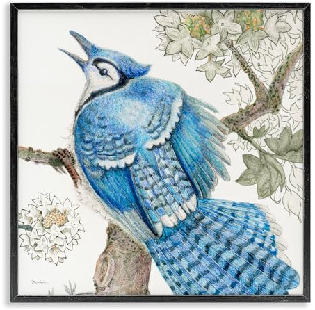 Stupell Industries Rhododendron & Blue Jay Framed Giclee Wall Art Design by Evelia Designs, Black Framed, 12 x 12
