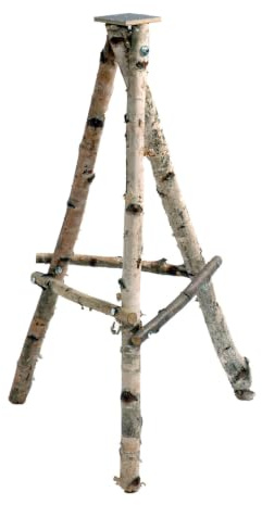 Pflanzen Kölle Vogelhausständer Birke, dreibeinig, 120 cm hoch