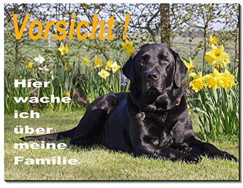 Labrador black-Schild-3 Größen-Aluminium Verbund-Hund-Tierschild-Hunde-Warnschild-Hinweisschild 6 (1452-6 -150 x 100 x 2 mm mit Löcher)