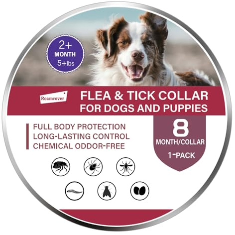 RoamRover Collier Anti Puces pour Chien, Protection Longue Durée 16 Mois, Huile Essentielle Naturelle, Etanche & Ajustable, pour dès 8 Semaines, sans Produits Chimiques Collier Anti Puce Chien(1Pcs)