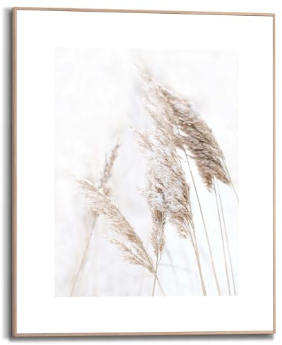 REINDERS Gerahmtes Bild, Pampasgras, Wohnzimmer, Bilder, Wanddeko, Room Decor, MDF, Weiß, 50 x 40