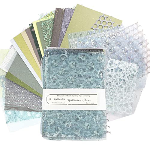 30 Blätter Scrapbook Papier, Vintage Scrapbooking Dekorpapier, DIY Schreibpapier Dekorative, Scrapbook Zubehör, Geeignet für Karten, Travel Journal, Sammelalben, Fotorahmen, Alben (Grün)