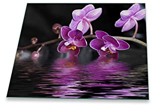 Herdabdeckplatte Abdeckung Ceranfeld Abdeckplatte Schneidebrett 1-Teilig 60x52 Orchidee Lila Spritzschutz Glasplatte Ceranfeldabdeckung Schutz Kochplatten Herdschutz Sicherheitsglas Glasschneidebrett