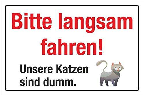 Schild Bitte Langsam Fahren Katze ist dumm 450 x 300 mm | 3 mm Alu-Verbund, wetterfester UV-Direktdruck, robust und langlebig, Made in Germany