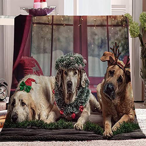 SJSXWQN Decke Grauer Hund Kuscheldecke Flauschig für Bett und Sofa Extra Weich Warme Mikrofaser Wohndecke Fleecedecke als Sofadecke Couchdecke Kuscheldecke - 180x200 cm
