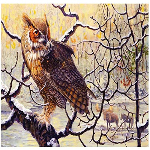 YINGXIN88 Diamant Malere Kits,Stück DIY 5D Diamond Painting Bilder Arts Strass Stickerei Kreuzstich Kits Diamond Dekoration für Haus, Wand und Eingang Eule auf einem AST im Winter-50x60cm