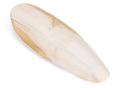 Karlie Sepiaschale - Schnabelpflege Vogel - 11,5 cm