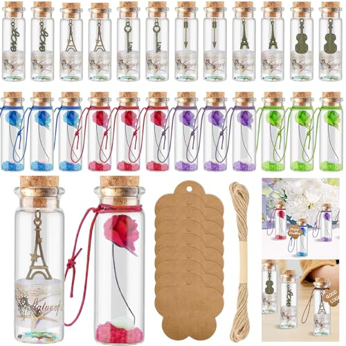 Nadinsta 24 Stück Mini Glasfläschchen Kleine Gläser Mit Korken