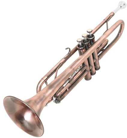 Trompete B-Trompete Instrument geeignet für Erwachsene und Anfänger