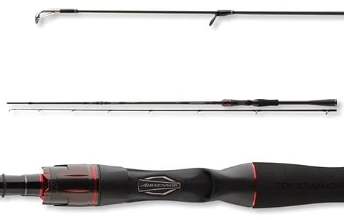 Daiwa Tournament AGS Baitcast 2.10m 14-42g Spinnrute
