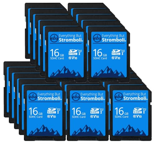 Everything But Stromboli Scheda di memoria SD da 16 GB (25 pezzi) Speed Class 10 UHS-1 U1 C10 16G SDHC per fotocamere digitali compatibili, computer, trail cam