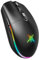 TECKNET Wireless Gaming Mouse, 8000 DPI, RGB Lighting, 6 Programmable Buttons, Lightweight 72g, 100h Battery Life Fast Response Gaming Mouse for Laptop, PC, Mac