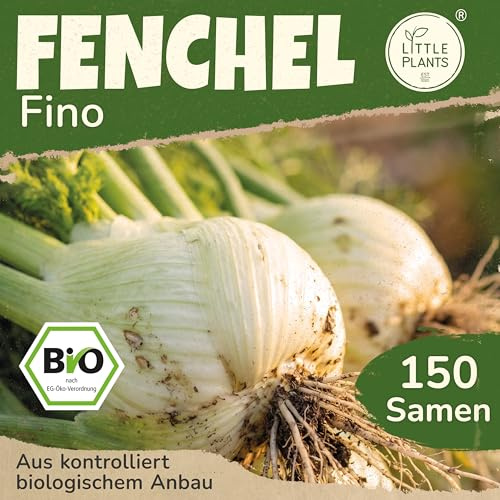 Little Plants BIO Fenchel Samen 100 Fenchelsamen Fino Gemüsesamen Samenfest für Gemüsegarten Gemüse Samen für Küche, Balkon, Hochbeet und Garten
