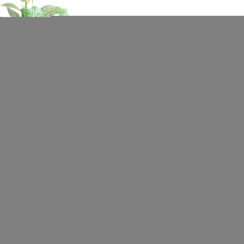 Bourbon Decanter - Decanter En Forma De Camión, Half Truck Bourbon Dispenser | Contenedor De Licor Vintage Con Un Tapón Interesante Para Organizar Brunch Beer Fiest Bar Bedding Birthday Kitchen