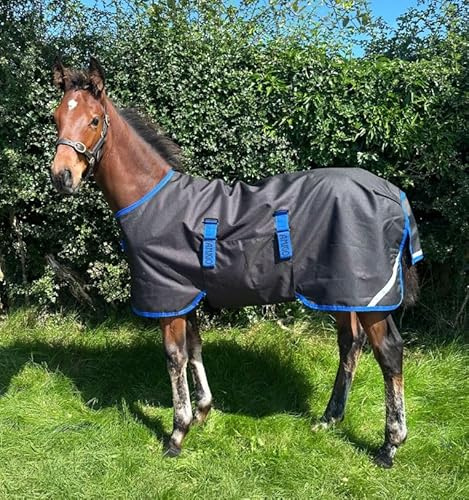 Horseware Amigo Ripstop 900D Foal Rug Turnout 200g Weidedecke Black/Classic Blue Fohlendecke