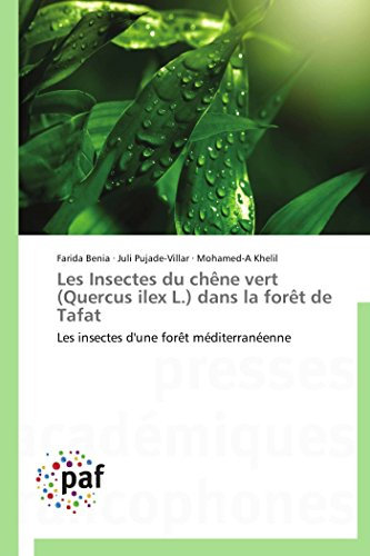 Les Insectes du chêne vert (Quercus ilex L.) dans la forêt de Tafat: Les insectes d'une forêt méditerranéenne