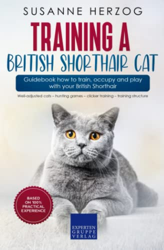 Training a British Shorthair Cat – Guidebook how to train, occupy and play with your British Shorthair: Well-adjusted cats – hunting games – clicker training – training structure