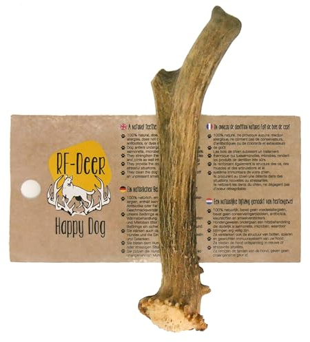 RF - Deer Corno di Capra per Cani 100% Naturale Osso di Capra per Cani Masticativi Naturali, Giochi e Snack Bocconcino per Cane Taglia S HARD Version 20-60 g 7-13 cm 1 pezzo
