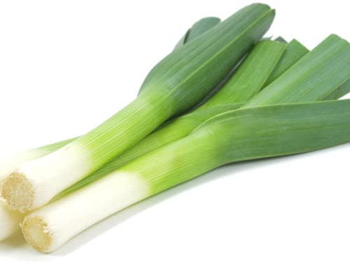Winter Vegetable Plants, Leek 'Jolant', 12 x Plug Plant Pack, Leek Plants, Leeks, Garden Vegetables, Fresh Produce, Garden Ready and Ready to Plant, Premium Quality Vegetables