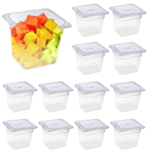 Hyuetrsa 8 Packs Plastic Food Pan with Lids Clear Food Storage Containers 1/6 Size 6 Inch Deep Restaurant Commercial Hotel Pans Stackable Polycarbonate Pan for Vegetables Fruits Beans Corns