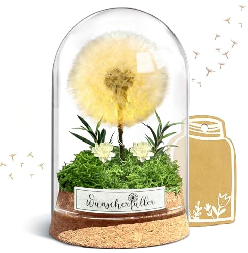 inyeskon Wunscherfüller mit LED Licht, Echte Pusteblume im Glass, Ewig Geburtstagsgeschenk für Frauen Freundin Mädchen Geschenke für Geburtstag Hochzeit Jugendweihe Weihnachten Valentinstag