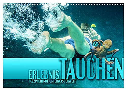 Erlebnis Tauchen - faszinierende Unterwasserwelt (Wandkalender 2026 DIN A3 quer), CALVENDO Monatskalender: Spektakuläre Bilder von traumhaften Tauchrevieren der Erde (CALVENDO Sport)