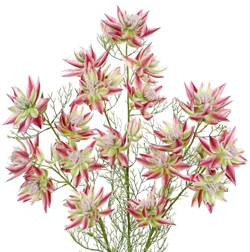 Arborus 3 STK Künstliche Blüten mit Stiele 67 cm Künstliche Blumen wie Echt | Kunstblumen für Vase Brautblume Serruria Dekoblumen für Tisch Regal Deko im Wohnzimmer Schlafzimmer Badezimmer Esszimmer