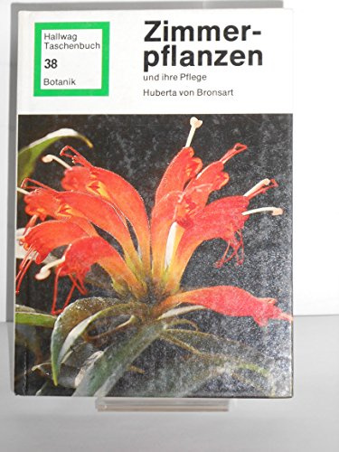 Zimmerpflanzen und ihre Pflege