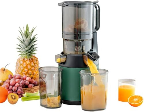 WuDLi Slow Juicer Machines, 200W Professional Cold Press Masticating Juicer with 13cm Feeding Chute for Fruits Vegetables, for Commercial Home Kitchengreen green